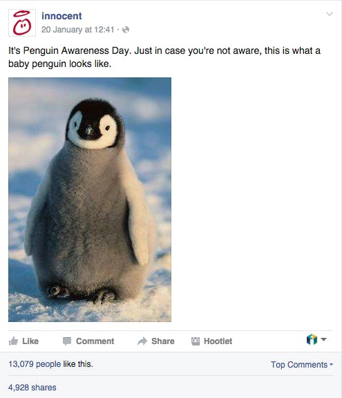 innocent penguin awareness micro content example