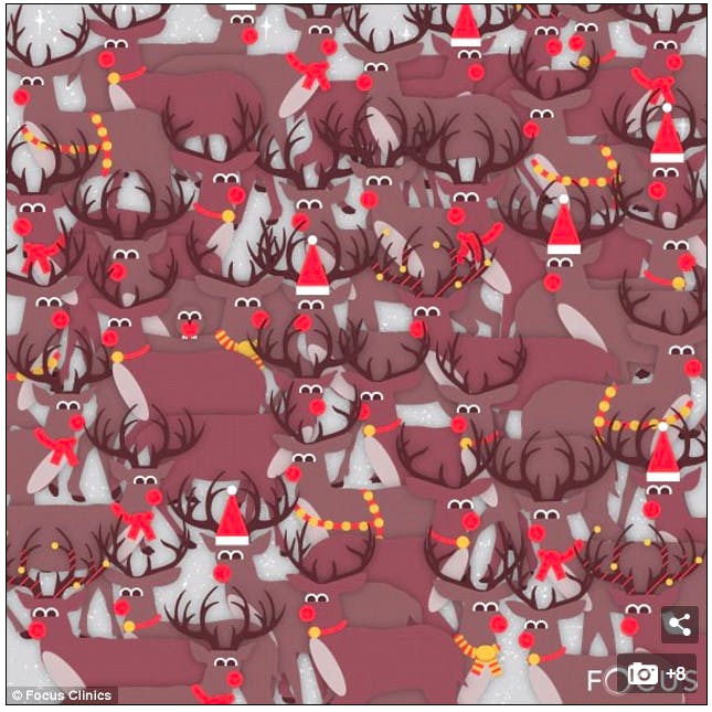 spot the reindeer