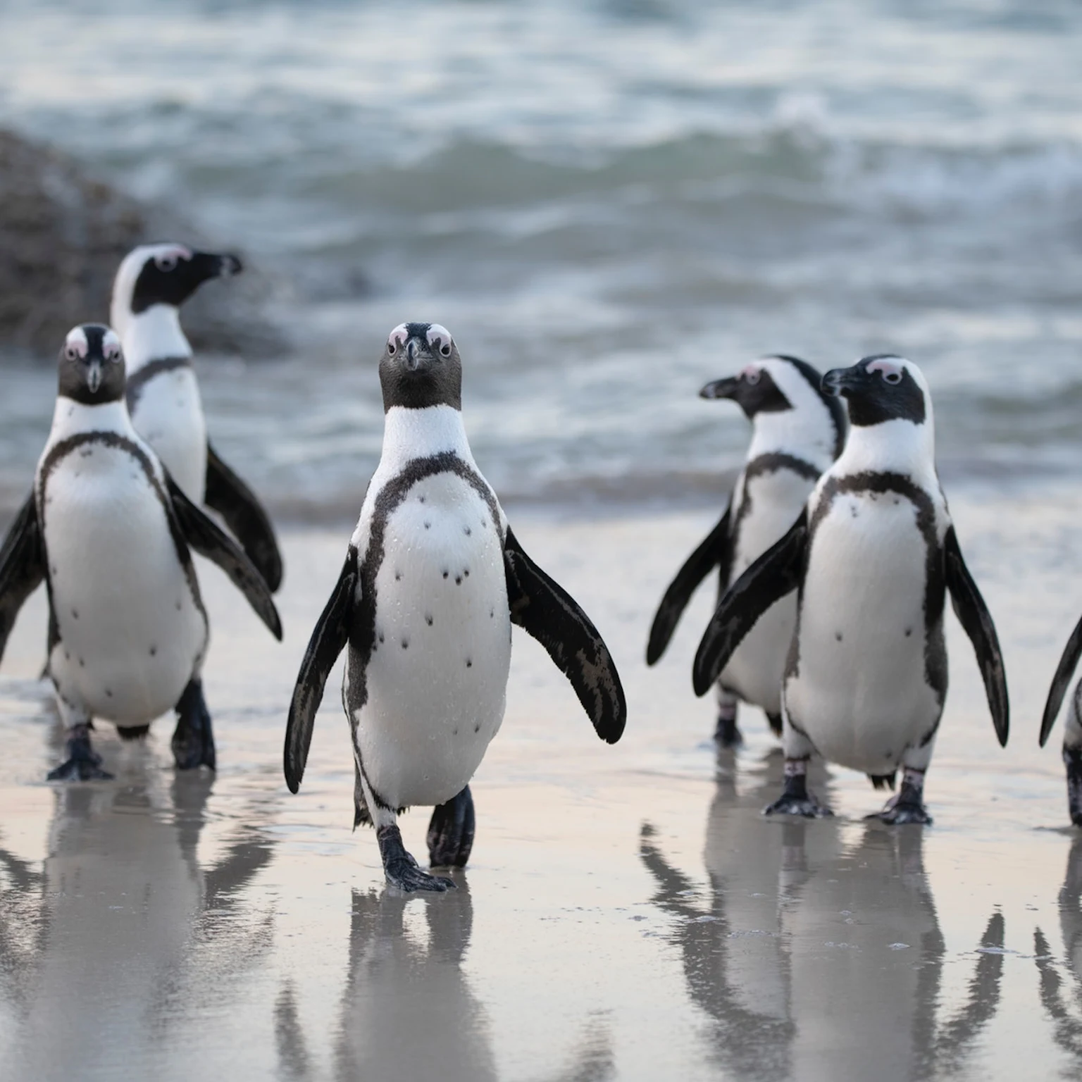 Charity Awards: Impression Sponsors Penguin Awards for Martin House Hospice