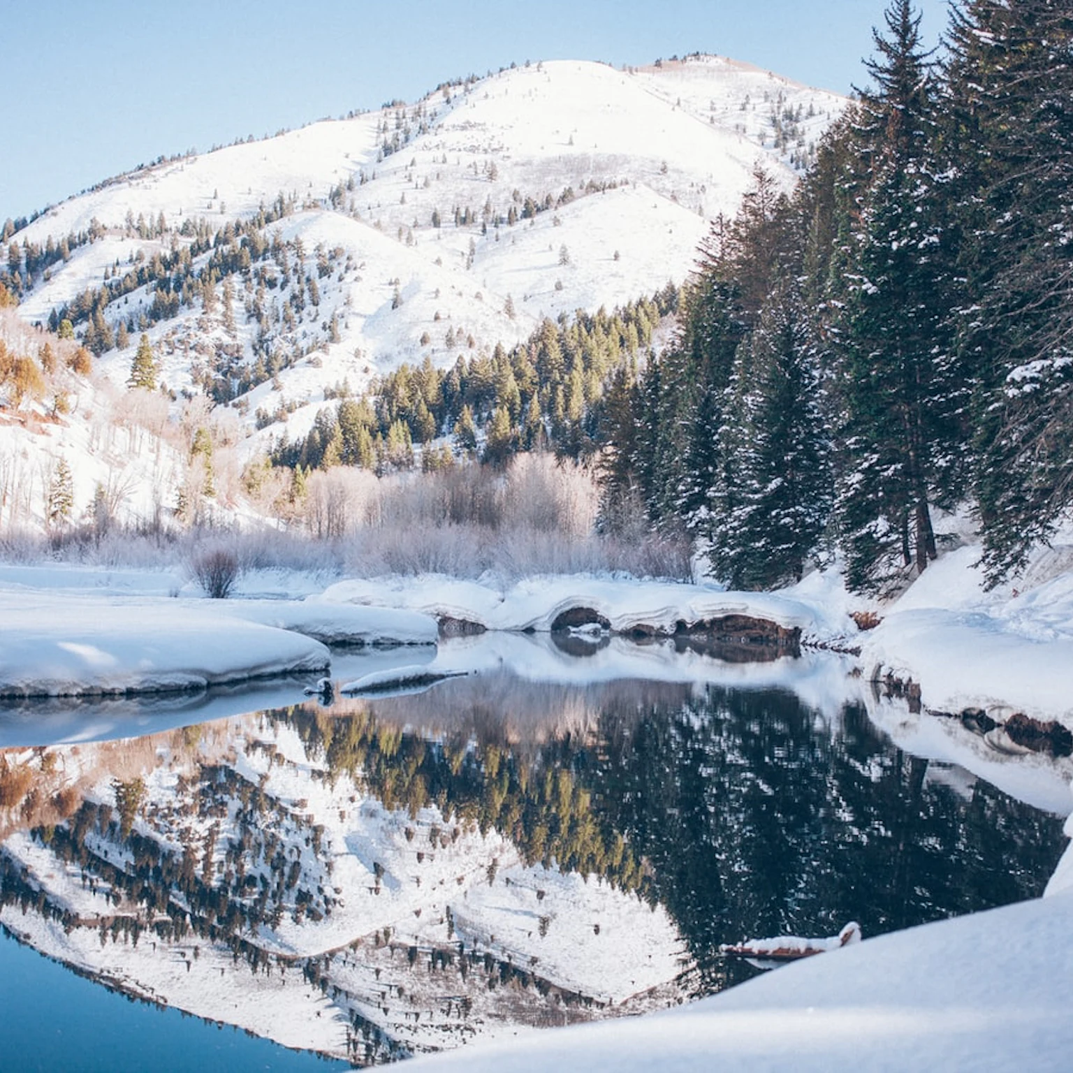 November & December Google Algorithm Updates 2020/2021