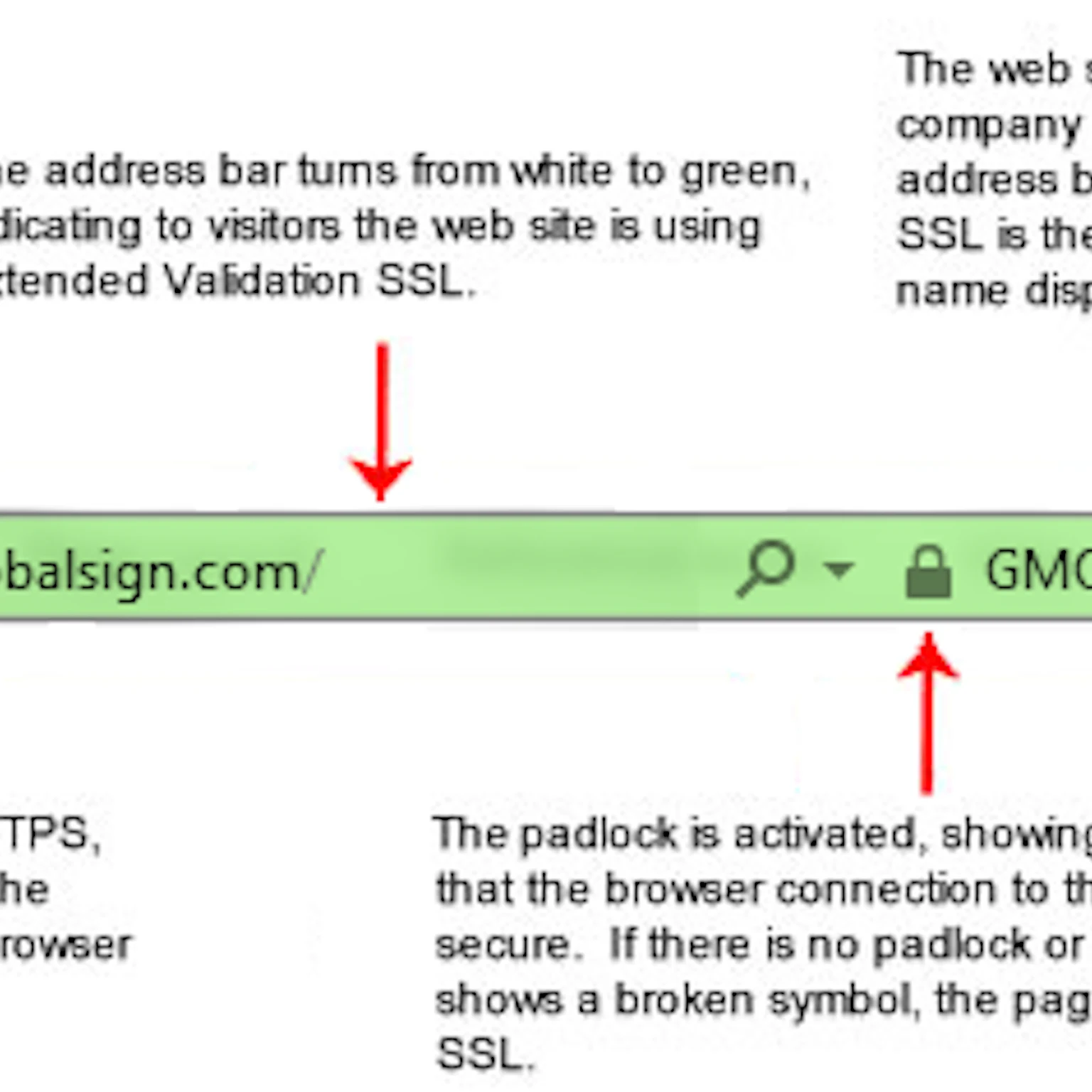 Google introduces HTTPS as a ranking factor