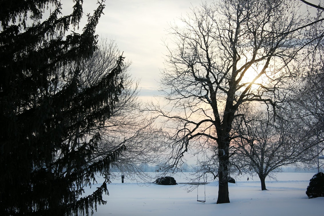 Feature image for 07.02.2020