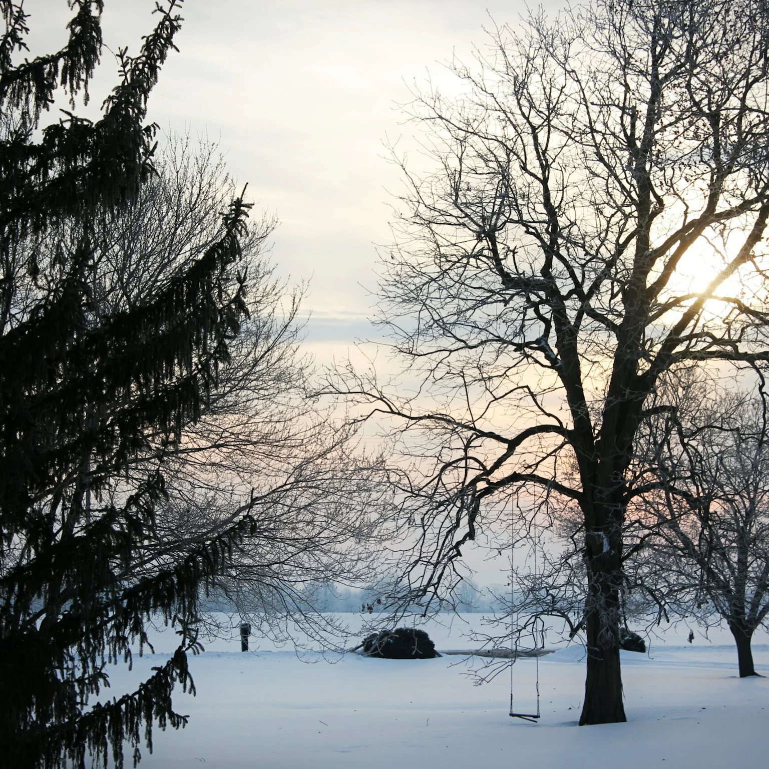 Google’s January Updates & Search Industry News
