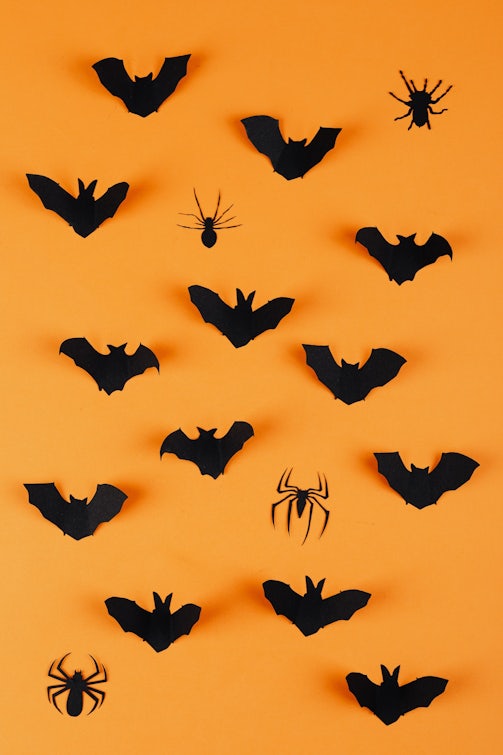 Feature image for 30.10.2020