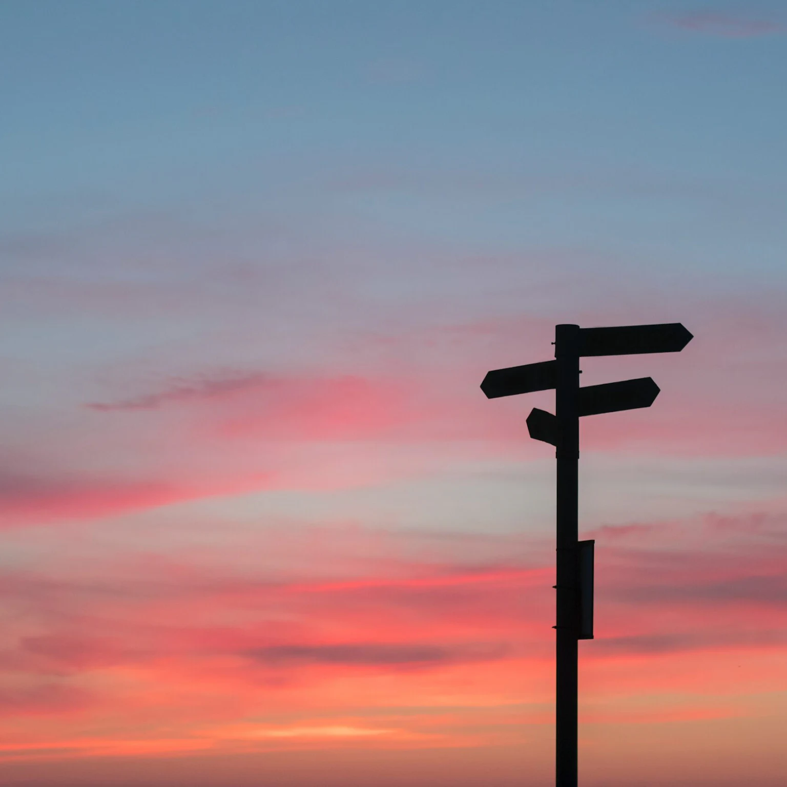 PPC or SEO? A guide for business owners starting out in Digital Marketing