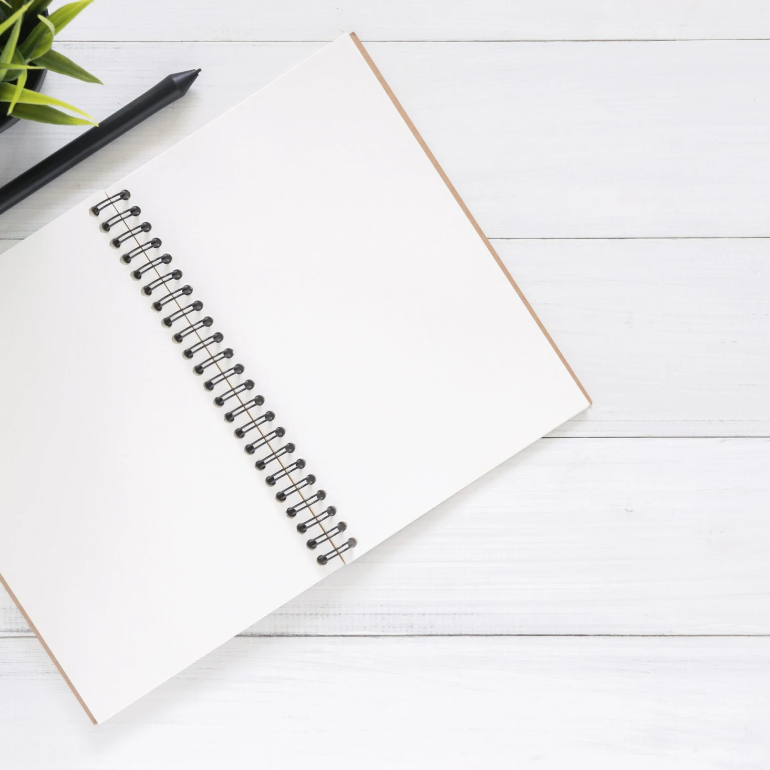 Duplicate Content Check: A Beginners’ Guide