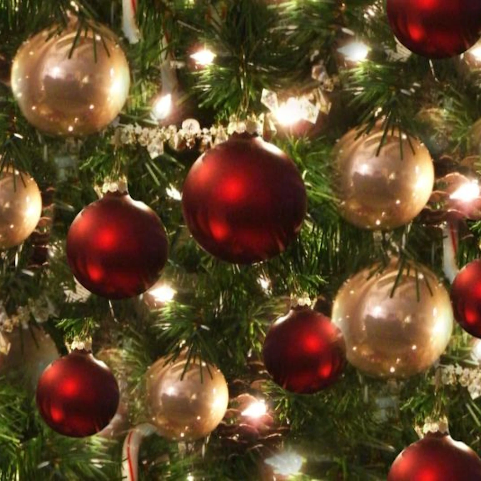 Merry Christmas and a Happy New Year!