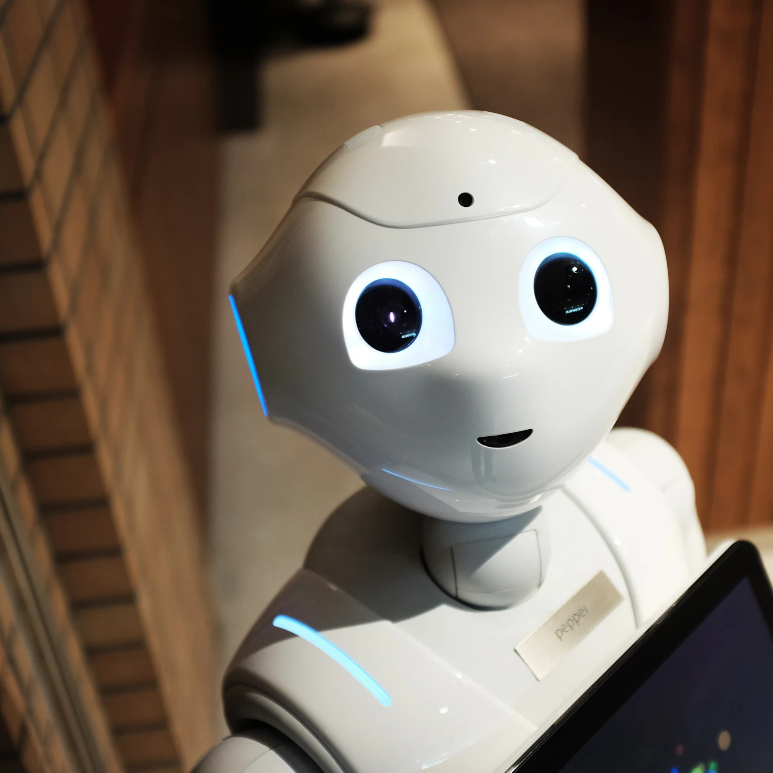 Brighton SEO: Arianne Donoghue – The PPC Automation Revolution Is Coming