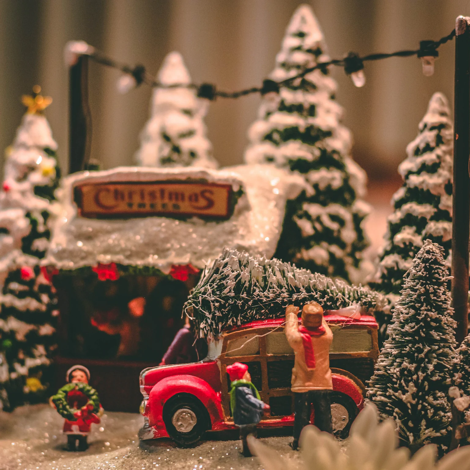 December 2021 Google Algorithm and Search Industry Updates