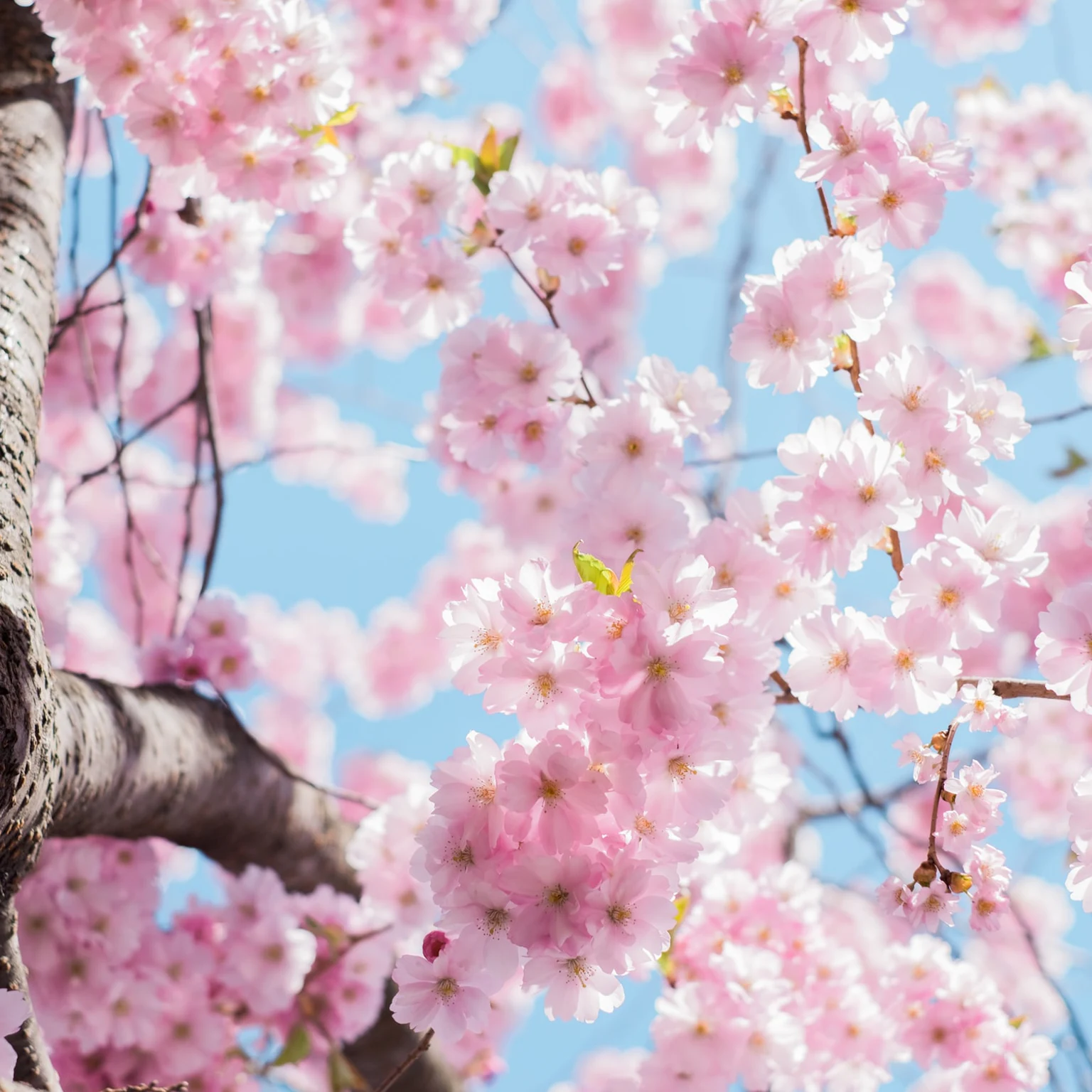 What’s new in paid social: March 2022 industry updates