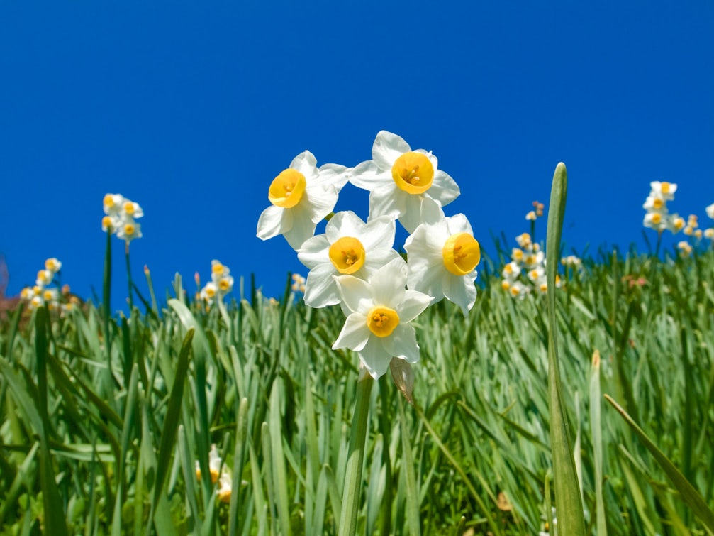 Feature image for 24.05.2022