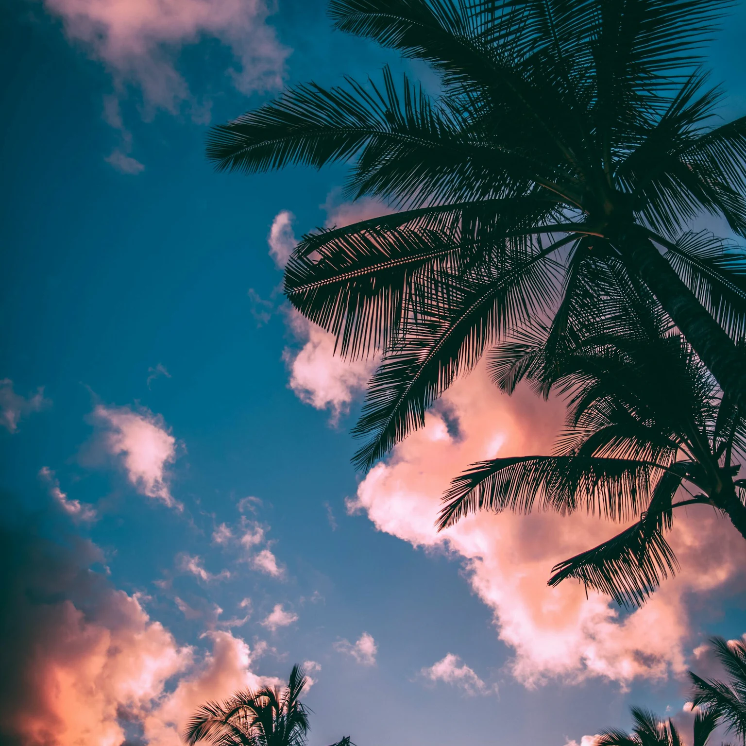What’s new in paid social: June 2022 industry updates