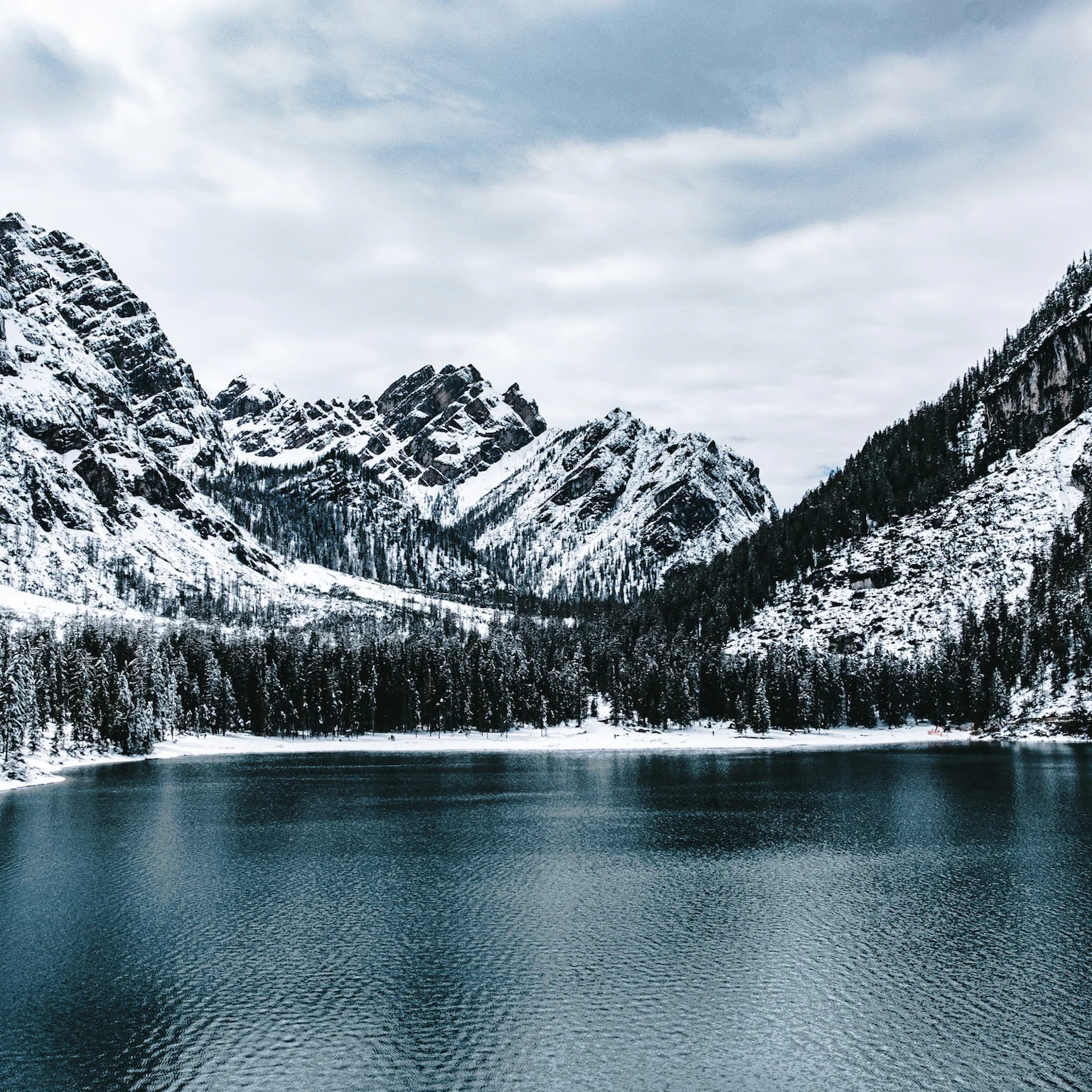 What’s new in PPC: December 2022 industry updates