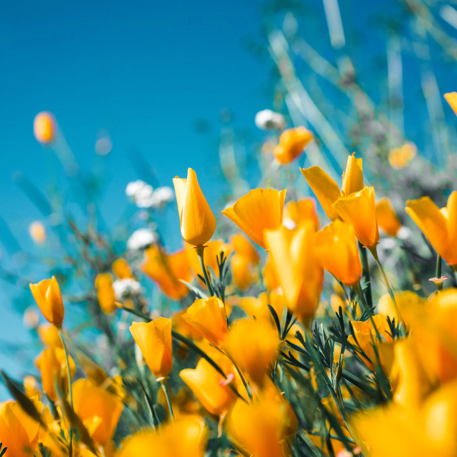 What’s new in PPC: March 2023 industry updates