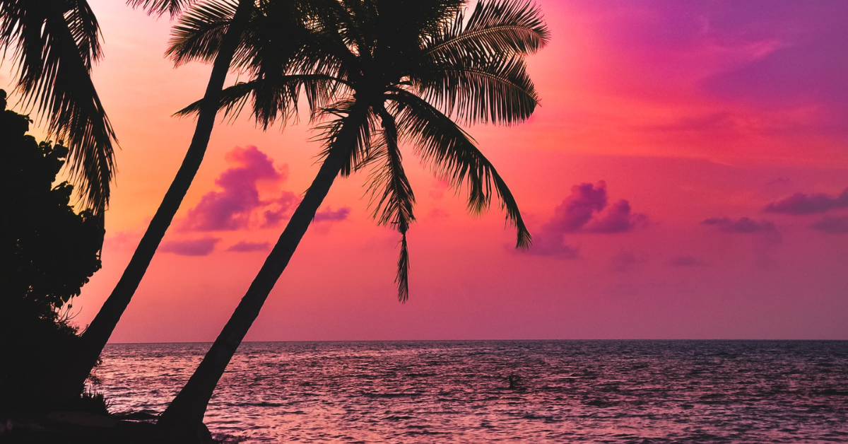 Feature image for 17.07.2023