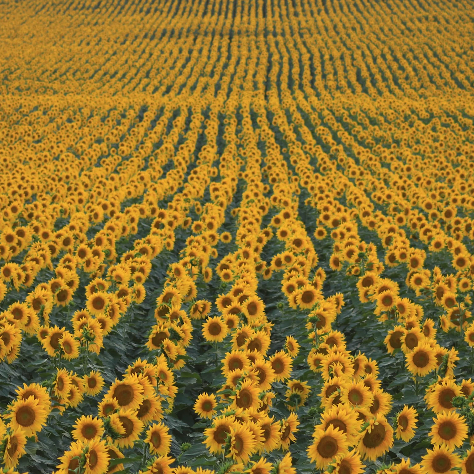 What’s new in PPC: August 2023 industry updates