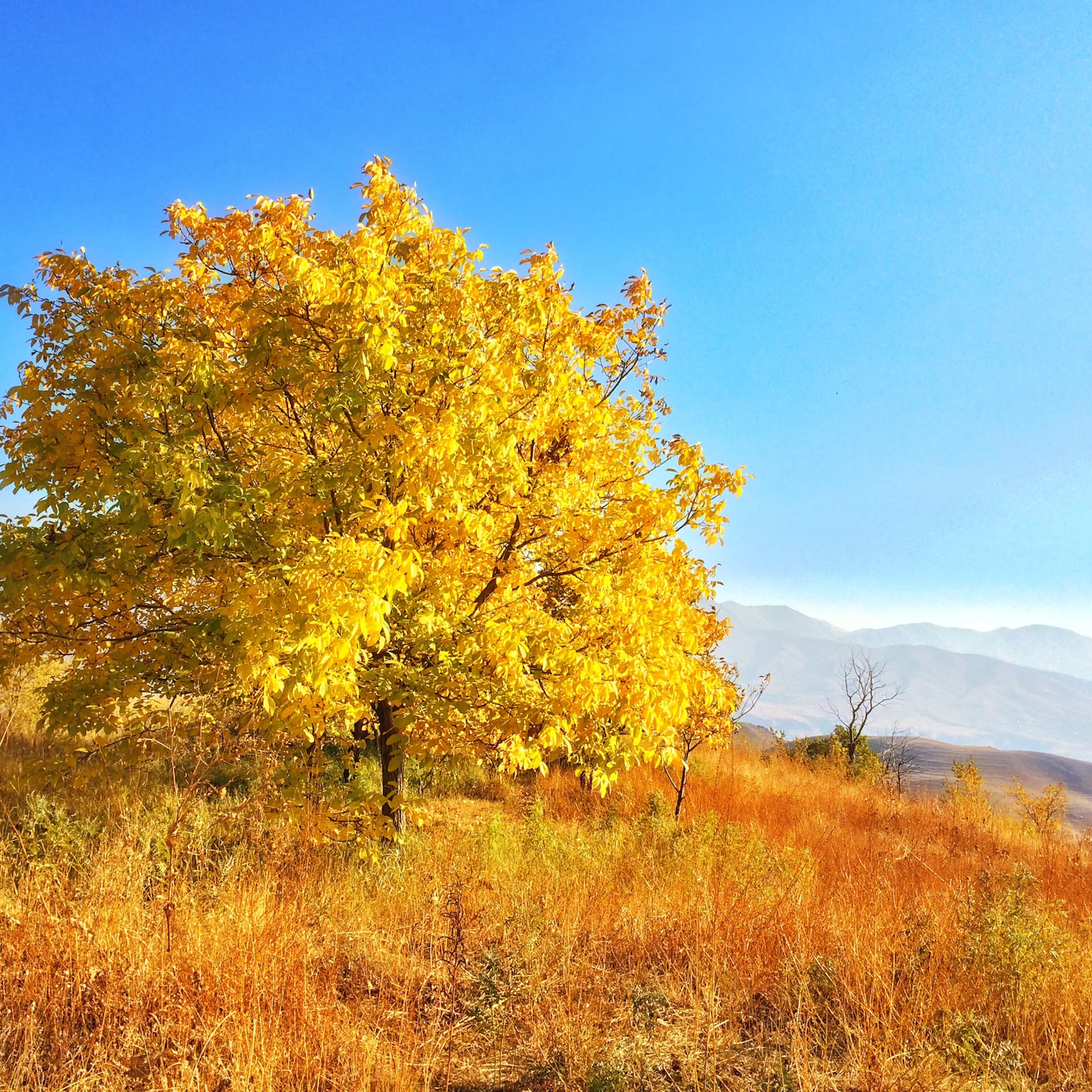 What’s new in PPC: September 2023 industry updates