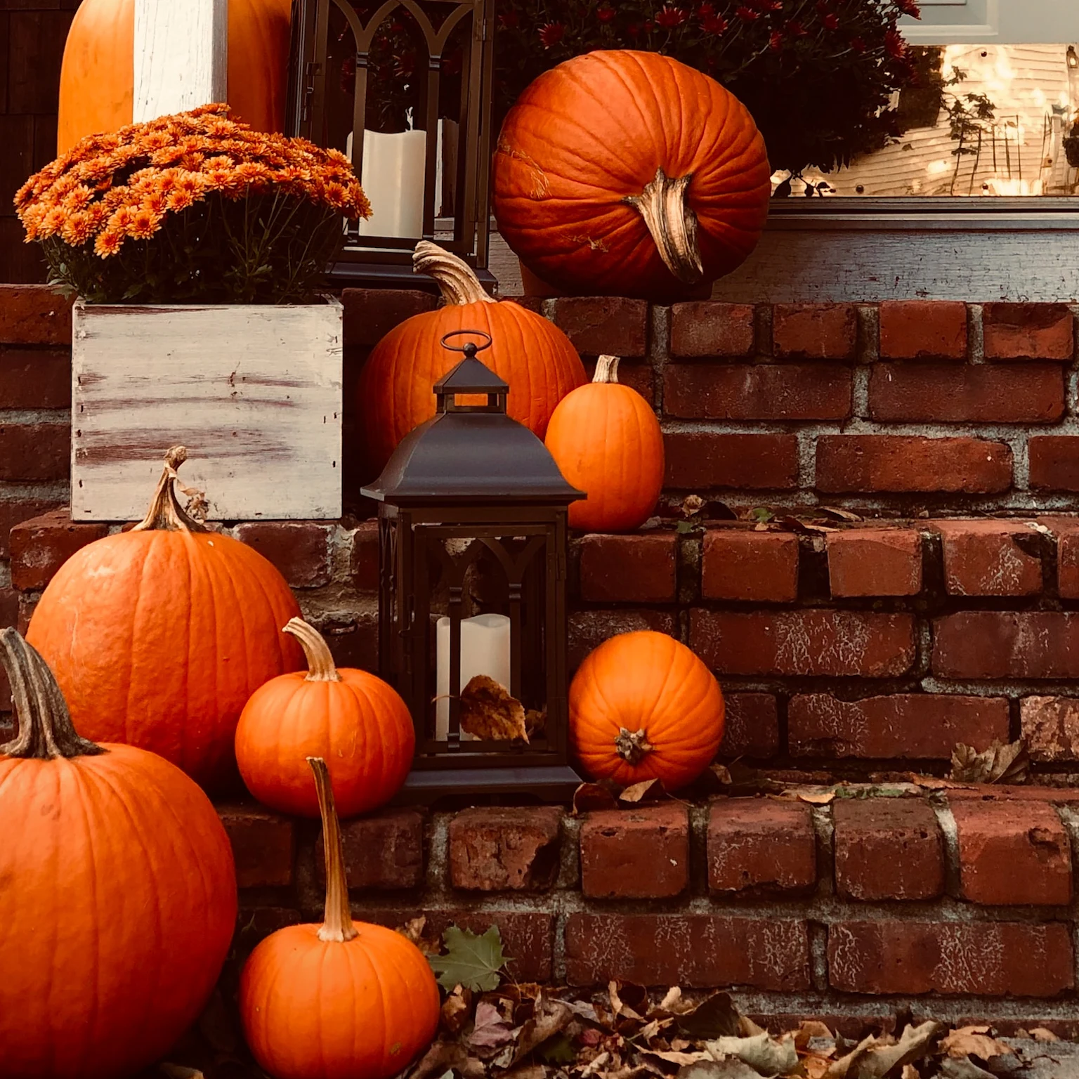 October 2023 Google algorithm and search industry updates
