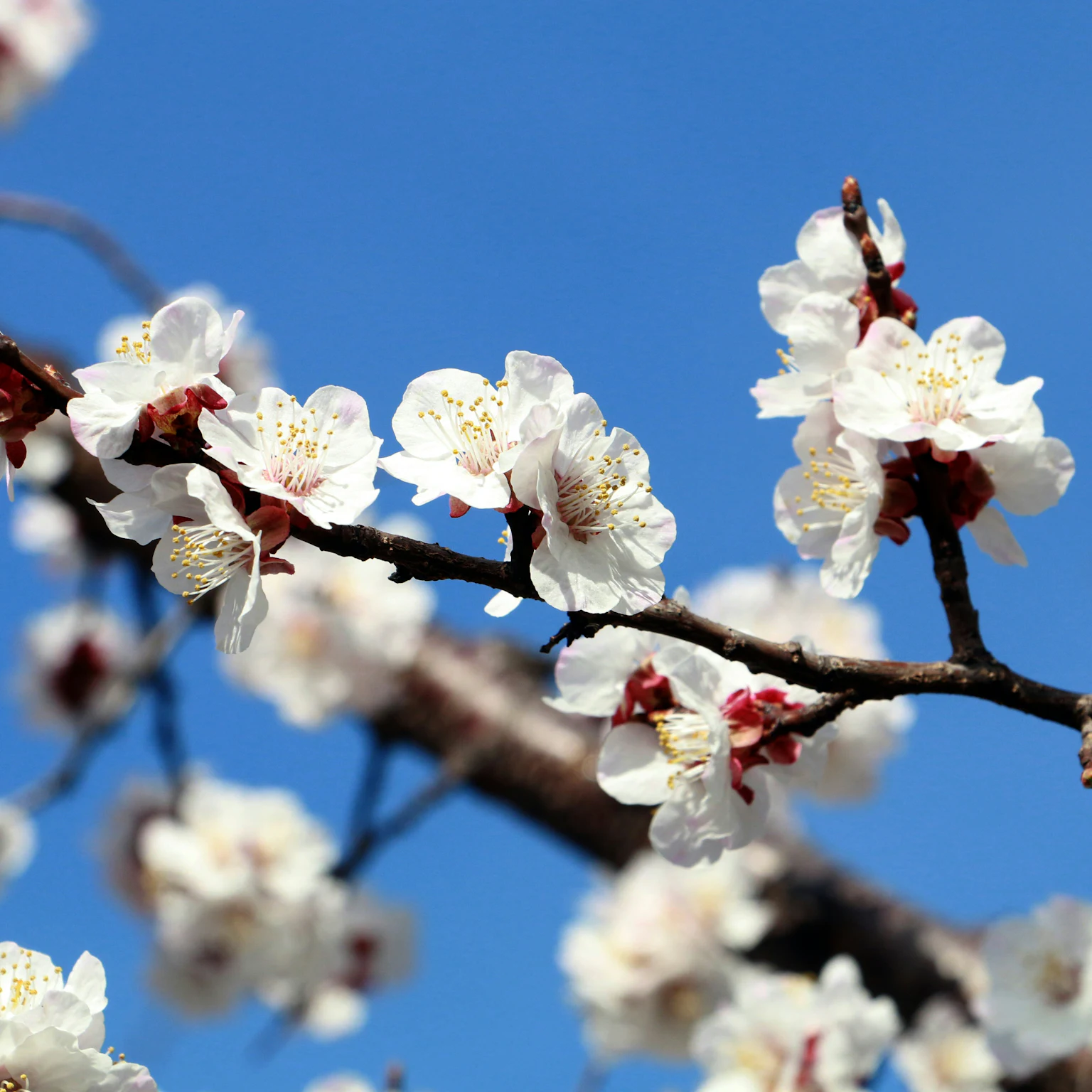 March 2024 Google Algorithm and Search Industry Updates