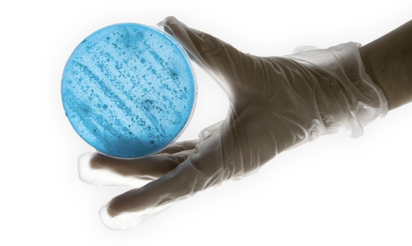 92% increase in YoY channel revenue for Cancer Research UK