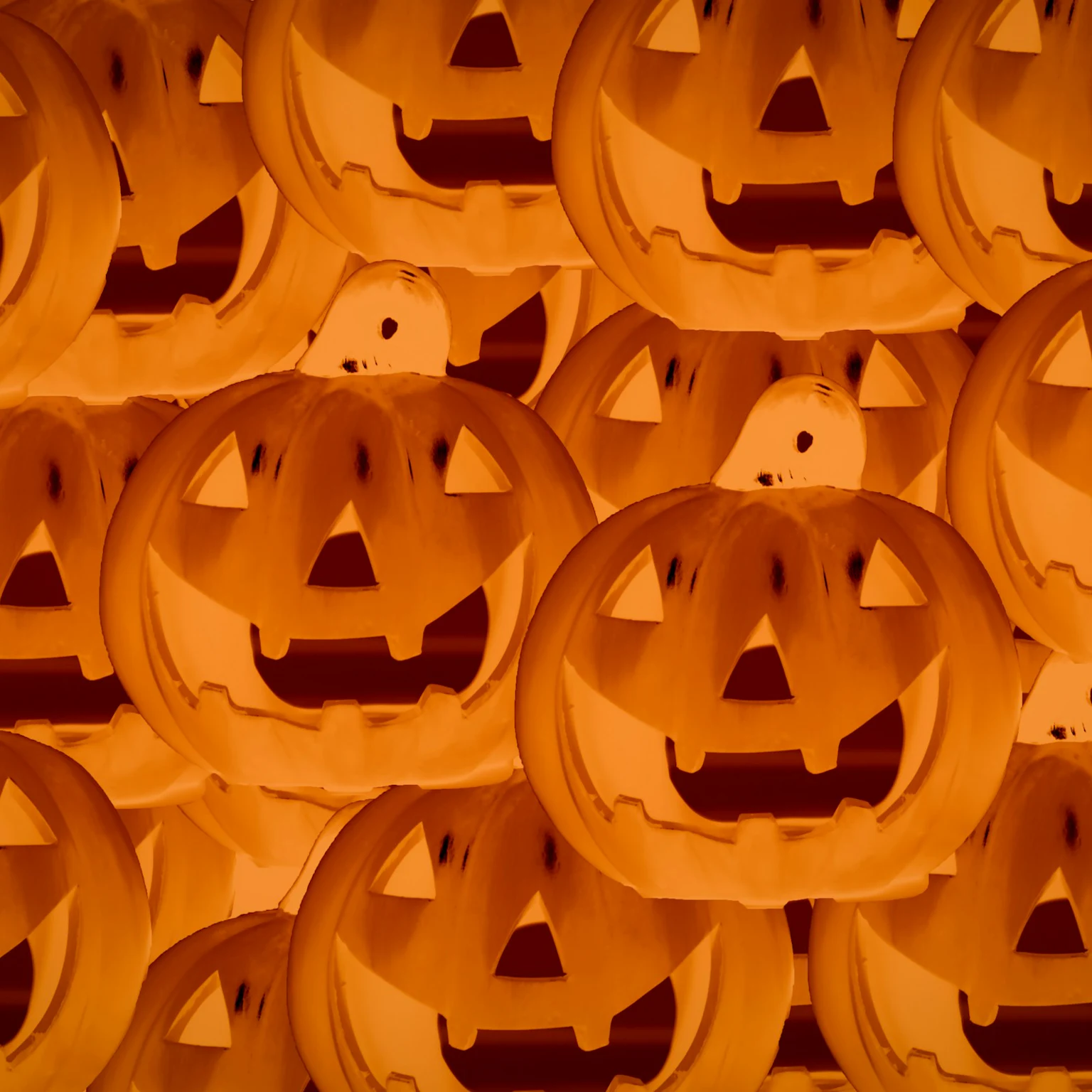 October 2024 Google algorithm and search industry updates