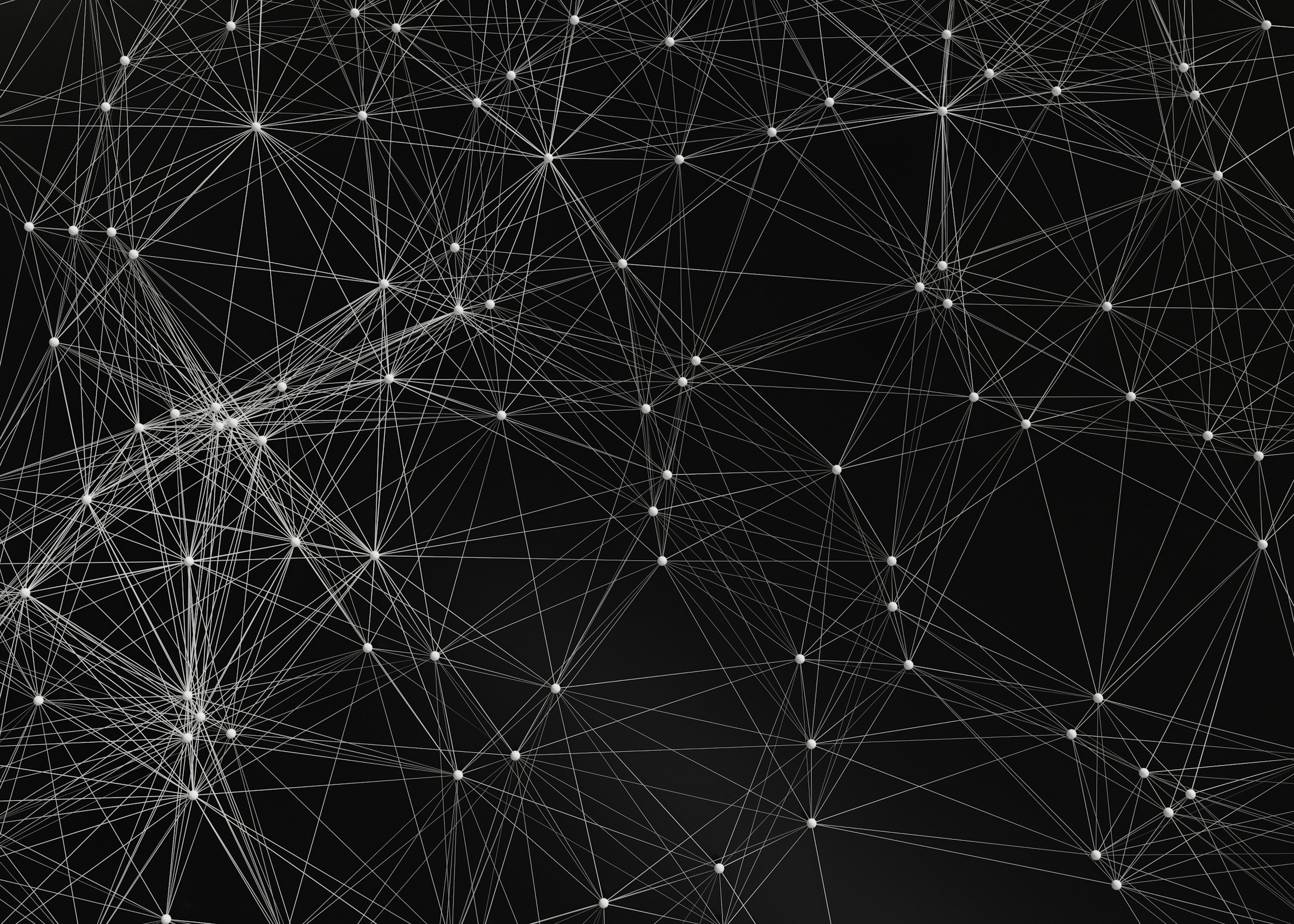 Feature image for 23.01.2025