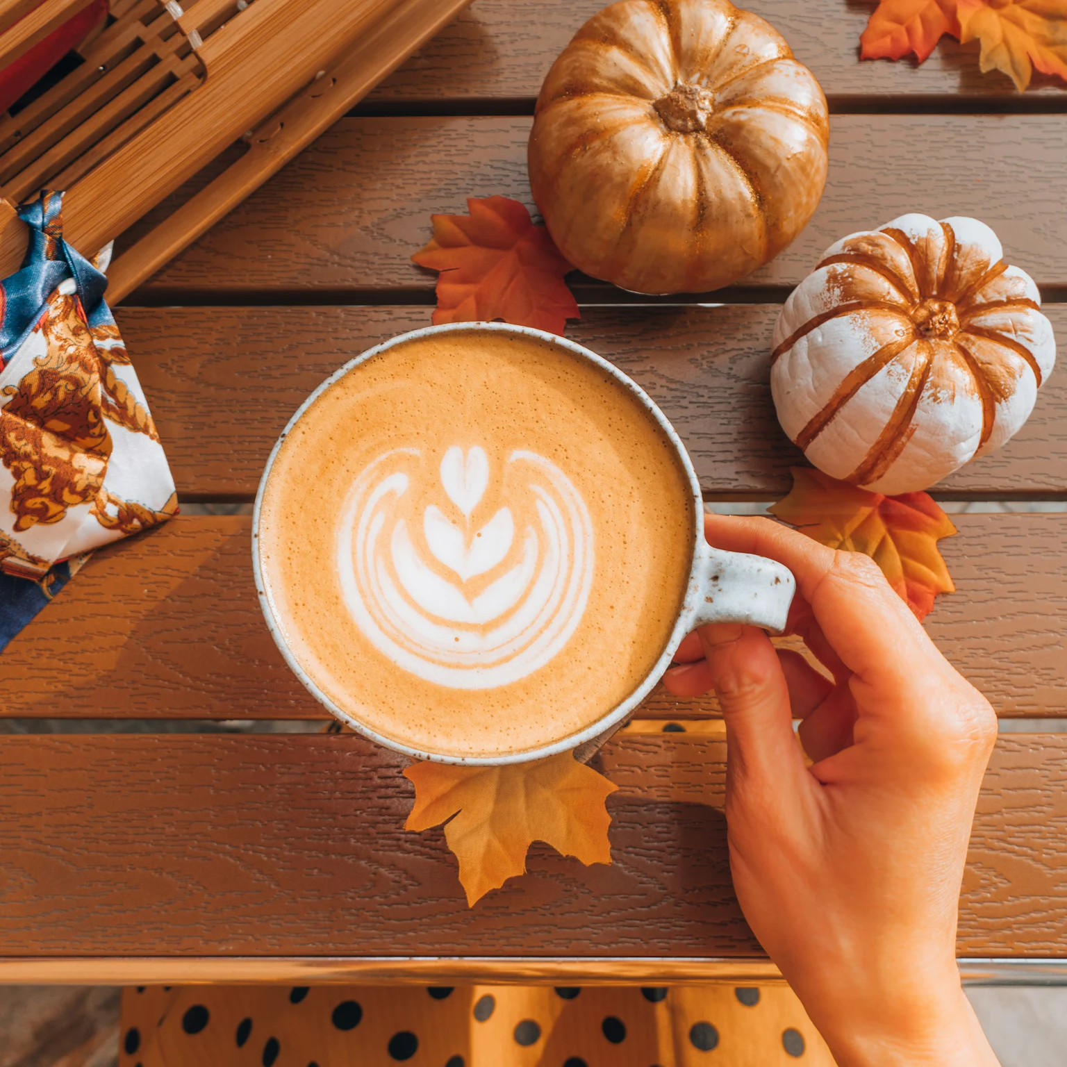 October 2025 Google algorithm and search industry updates