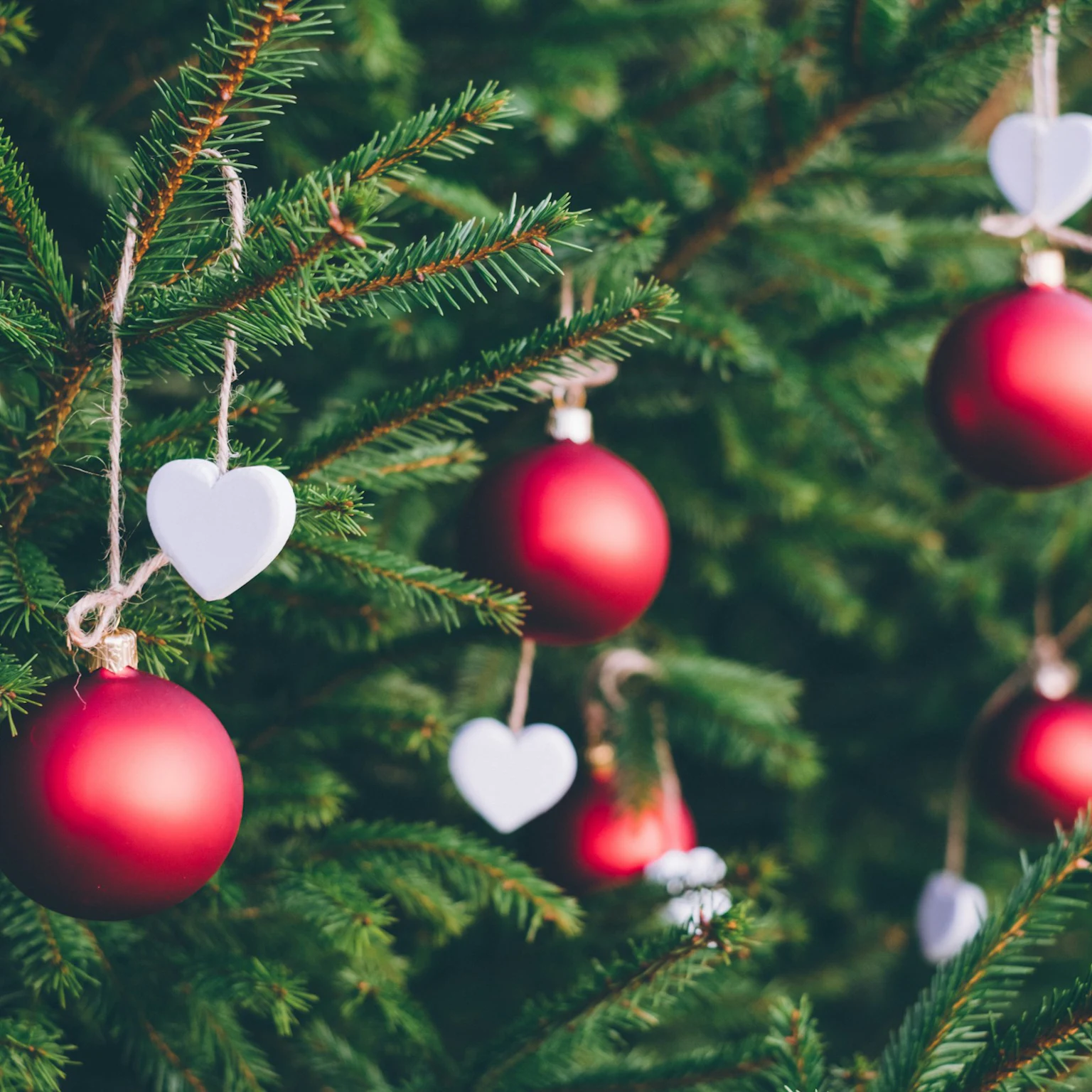 December 2025 Google algorithm and search industry updates