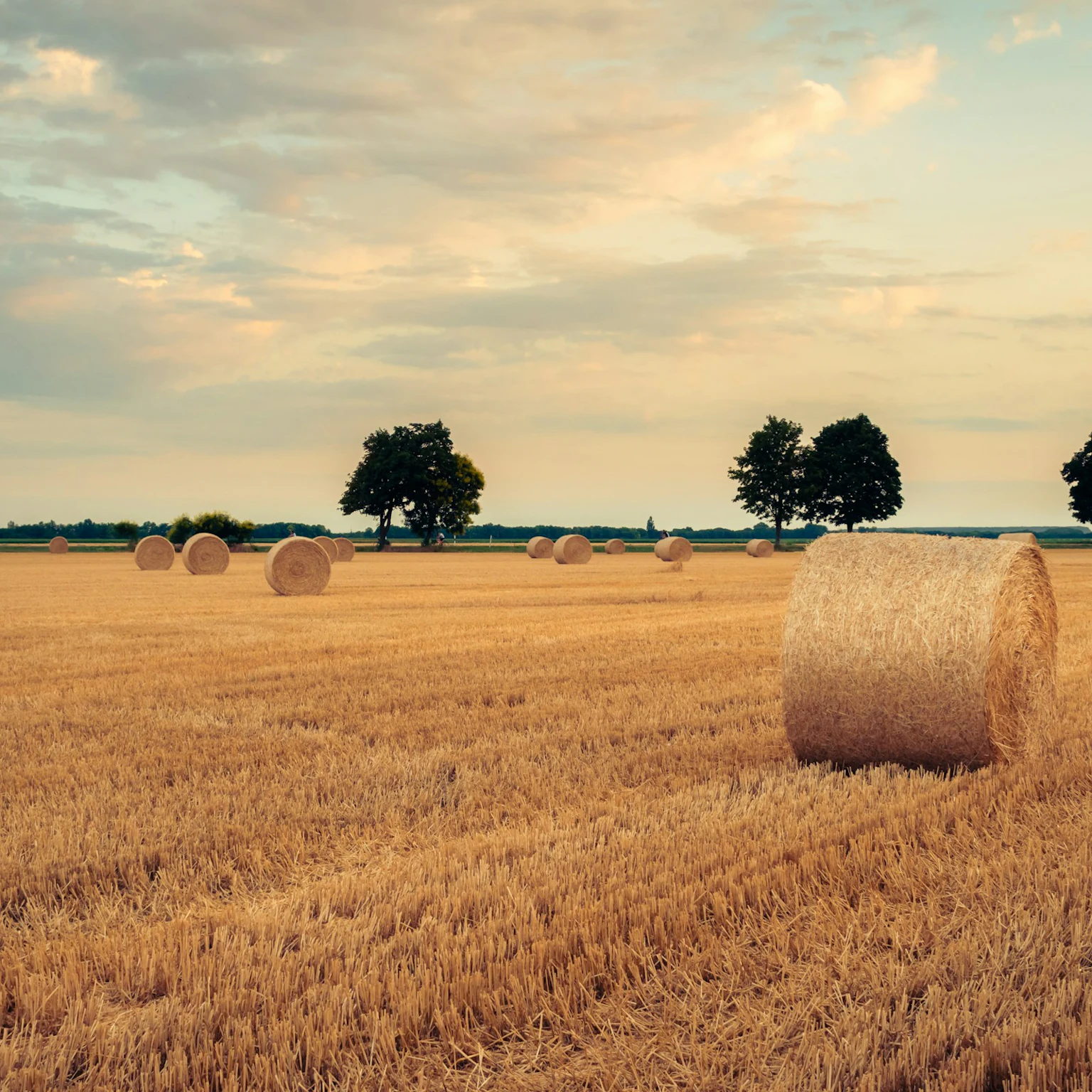 What’s new in Paid Media: August 2026 industry updates